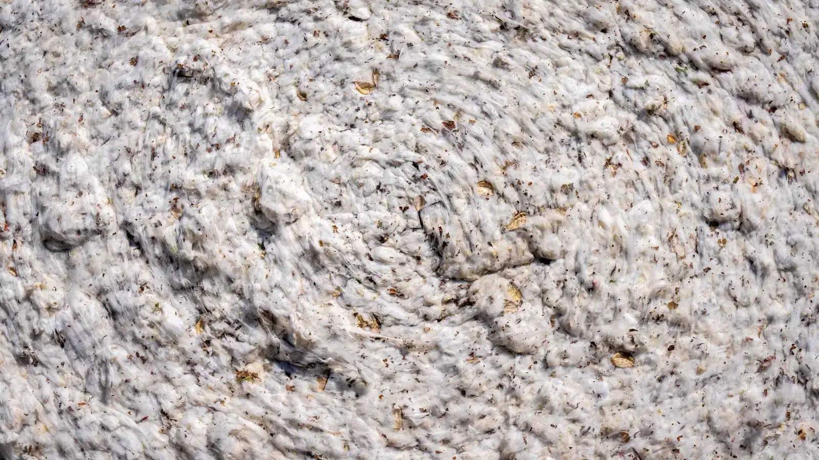 Loose white cotton lint with visible leaf and stem fragments still mixed through it