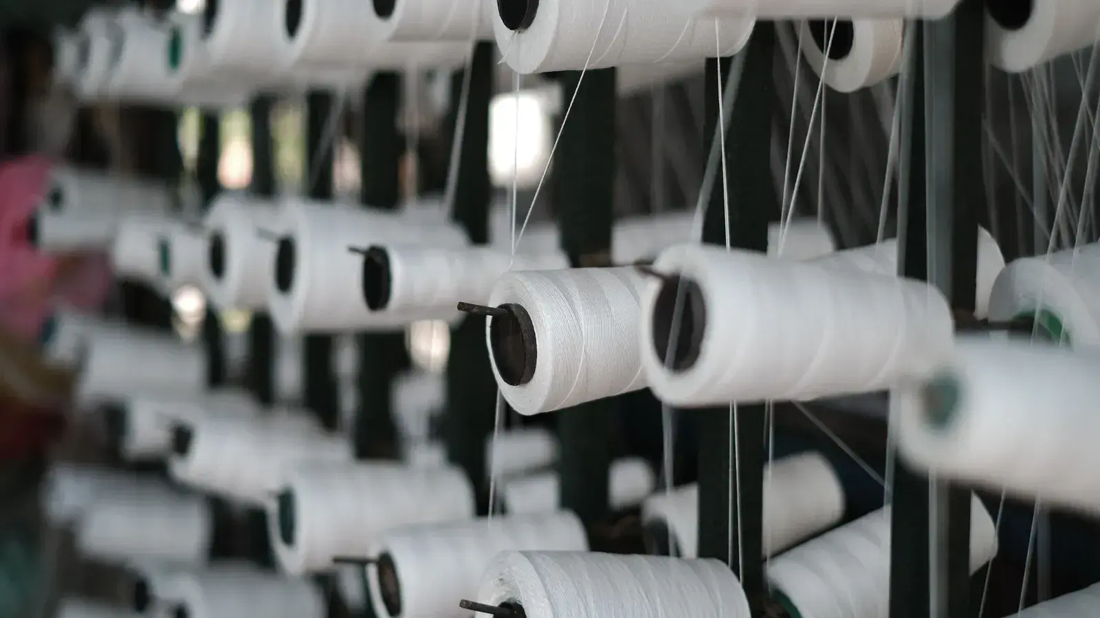 Rows of white cotton yarn packages on a creel in a textile plant