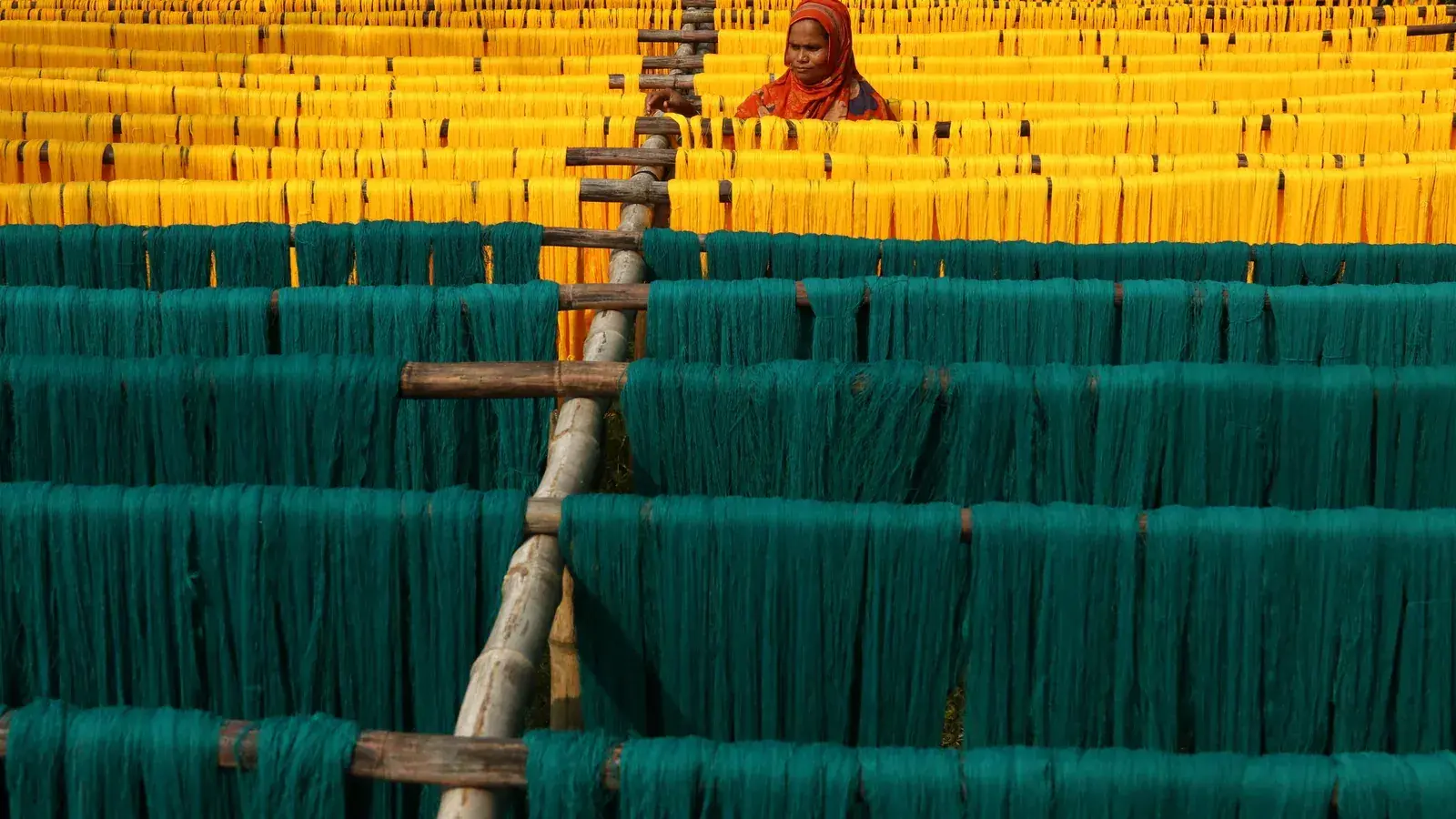 Rows of freshly dyed yellow and teal fabric hanging to dry
