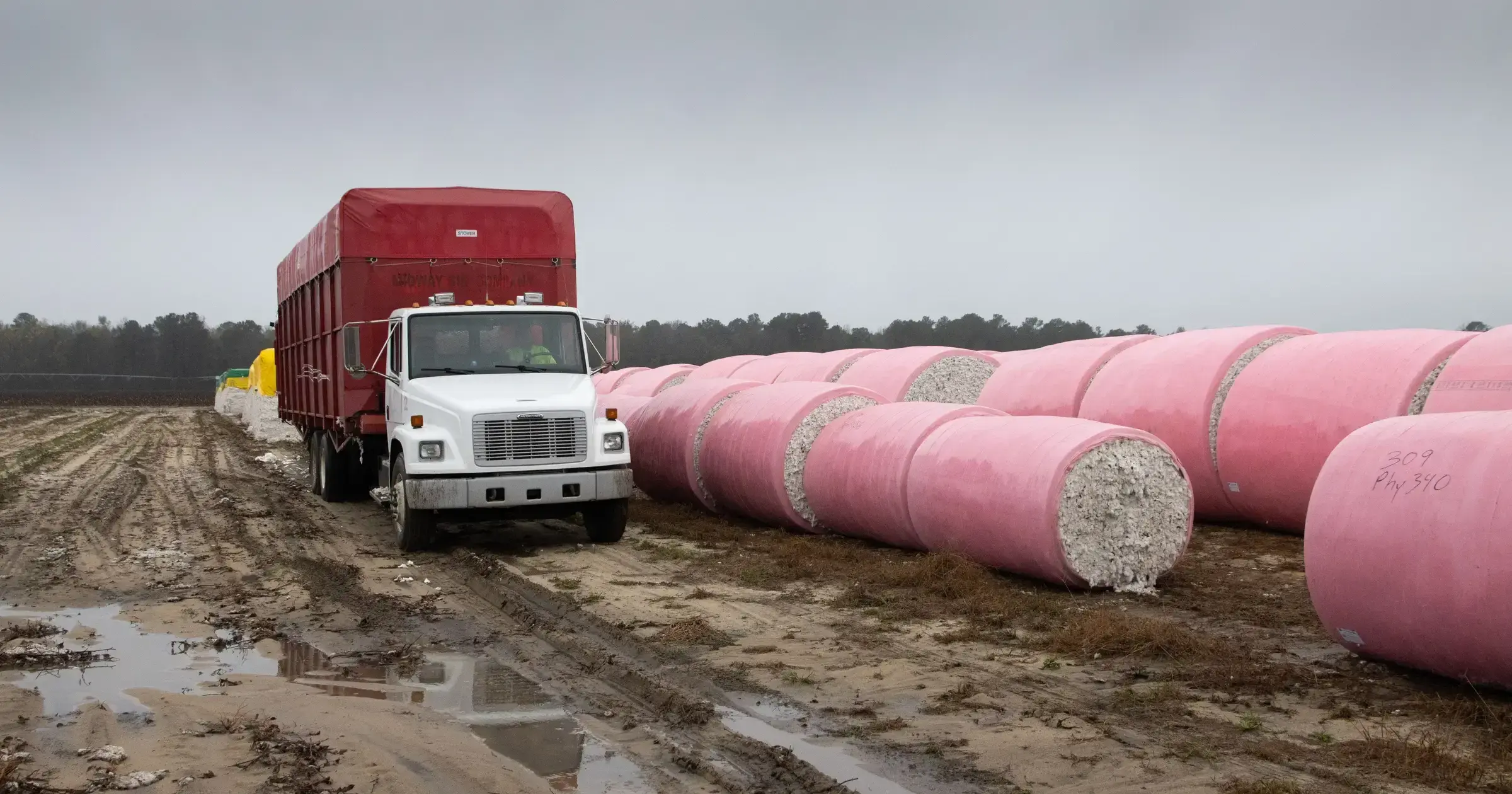 Wrapped cotton modules lined up in a muddy field beside a truck at harvest
