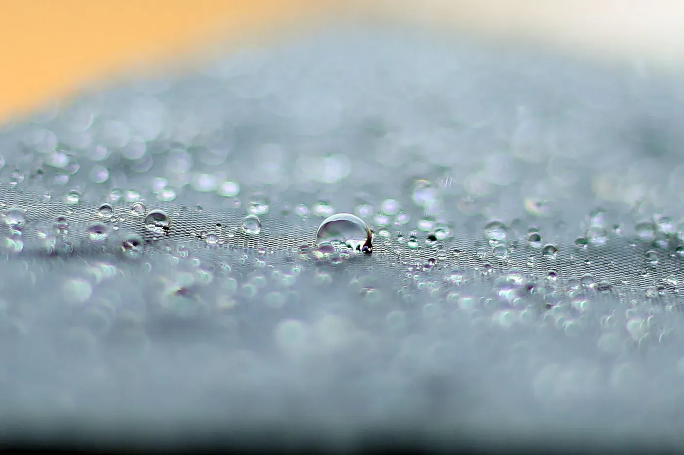 Water droplets beaded on a textured surface in soft light
