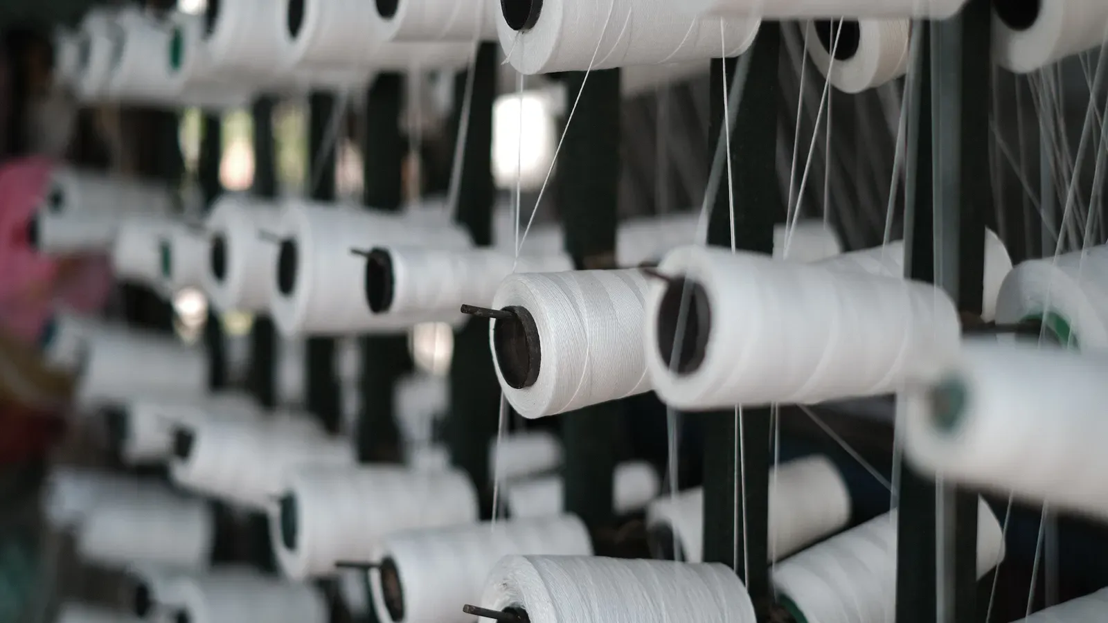 Rows of white cotton yarn packages on a creel in a textile plant