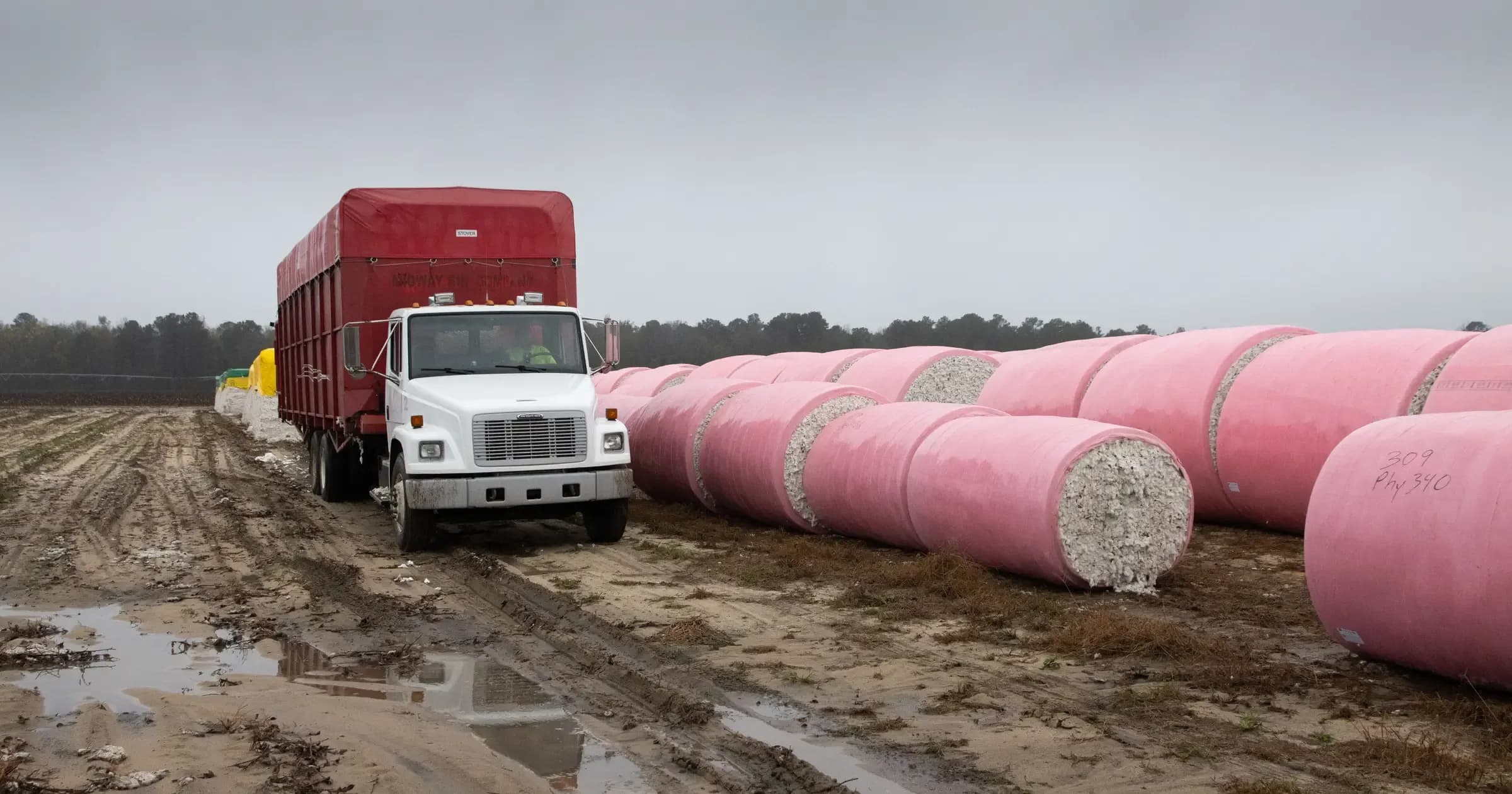 Wrapped cotton modules lined up in a muddy field beside a truck at harvest